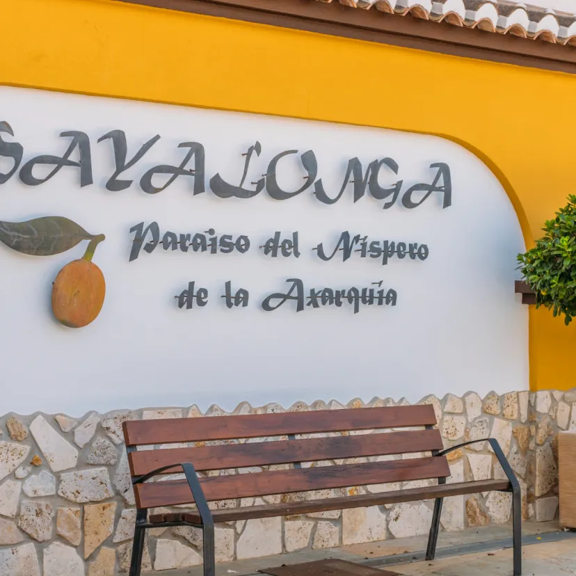 Discover Sayalonga and the Axarquía! Stay in Sayalonga is your guide to the best sights, restaurants, accommodation and activities in this authentic Andalusian gem. Read our tips and plan your perfect holiday in southern Spain!